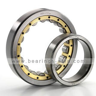 Cylindrical Roller Bearings 1